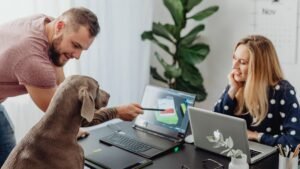 Bürohunde: Fütterungsregeln, die in jede Policy gehören